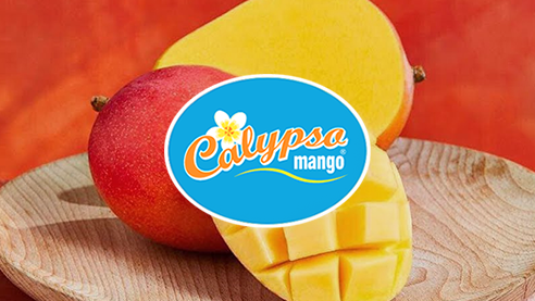 Calypso Mango